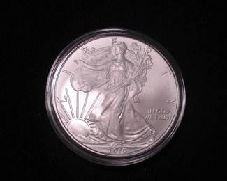 Silver Eagle Dollar 2010