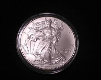 Silver Eagle Dollar 2008