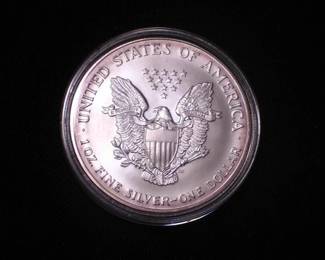 Silver Eagle Dollar 1999