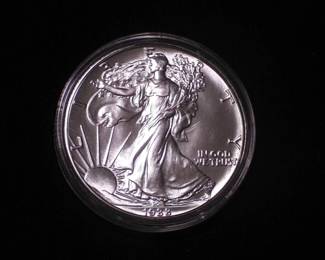 Silver Eagle Dollar 1988