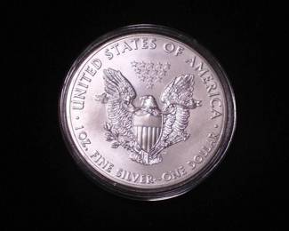 Silver Eagle Dollar 2014