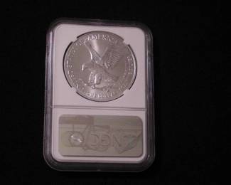Silver Eagle Dollar 2021 - W MS 69 First releases T2