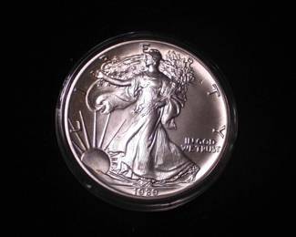 Silver Eagle Dollar 1989