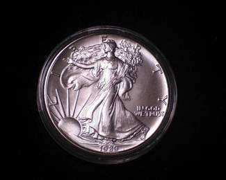 Silver Eagle Dollar 1989