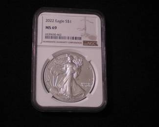 Silver Eagle Dollar 2022 - W, MS 69