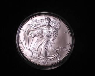 Silver Eagle Dollar 2002