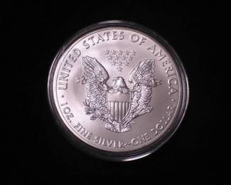 Silver Eagle Dollar 2014