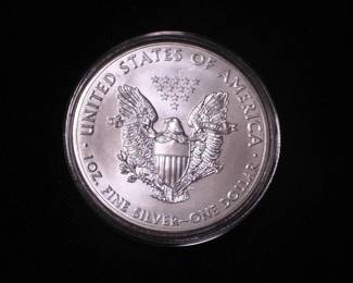 Silver Eagle Dollar 2013
