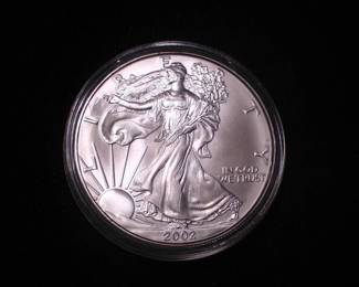 Silver Eagle Dollar 2002