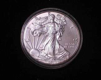 Silver Eagle Dollar 2017