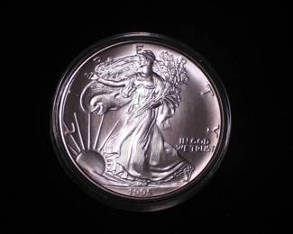 Silver Eagle Dollar 1995