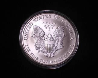 Silver Eagle Dollar 1999