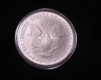 Silver Eagle Dollar 2007