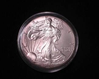 Silver Eagle Dollar 2003