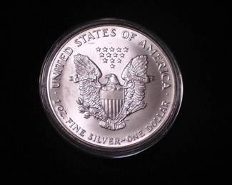 Silver Eagle Dollar 1993