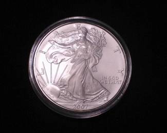 Silver Eagle Dollar 2007