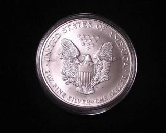 Silver Eagle Dollar 1995
