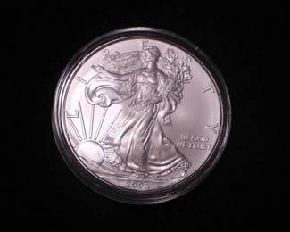 Silver Eagle Dollar 2008