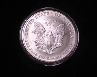 Silver Eagle Dollar 1996