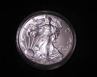 Silver Eagle Dollar 2016