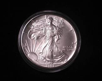 Silver Eagle Dollar 1993
