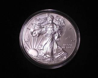 Silver Eagle Dollar 2014