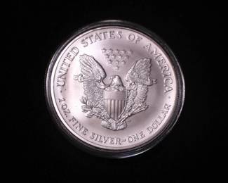 Silver Eagle Dollar 2004