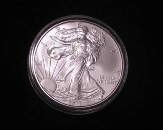 Silver Eagle Dollar 2012