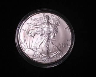 Silver Eagle Dollar 2003