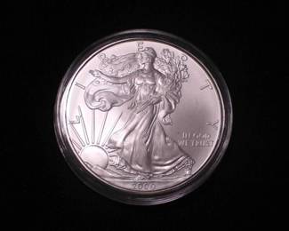Silver Eagle Dollar 2009