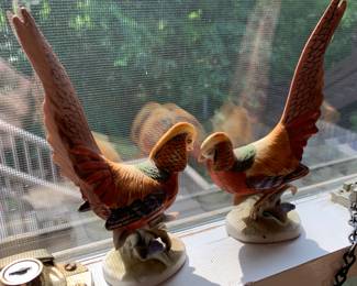 pair of birds
