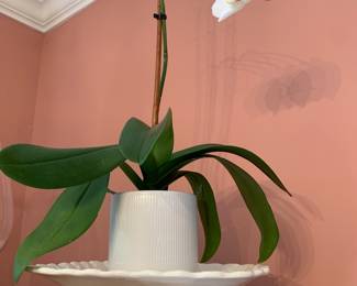 cake plate; orchid