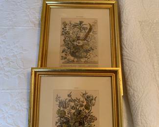 Botanical prints -months