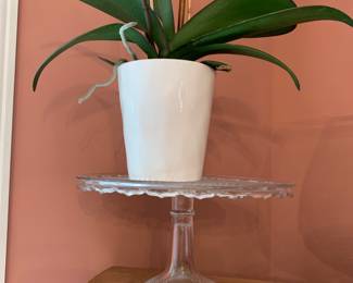cake plate; orchid