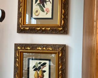 4 Nicely Framed Fruit Prints