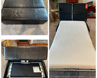 Ottoman with a pull out twin bed