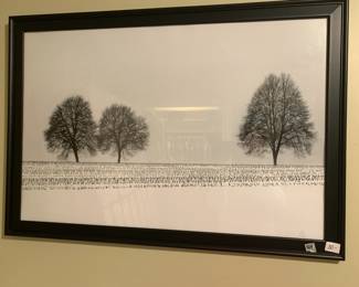 #164 Framed Pic of Trees and Grass Black And White 39.5.5x27.5 $30.00