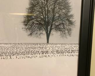 #164 Framed Pic of Trees and Grass Black And White 39.5.5x27.5 $30.00
