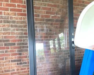 #112 Glass Storm Door w/etching - 36x81 $60.00