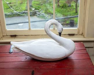 Swan