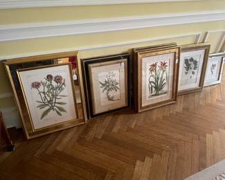 Botanical framed art