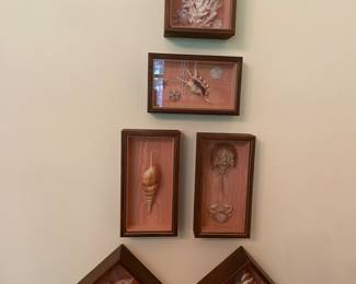 These are awesome shadow box displays.