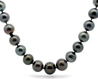 NEW! Tahitian Pearl Single Strand Necklace + 14k White Gold Clasp