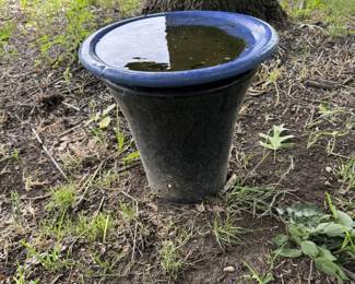 Large Pot