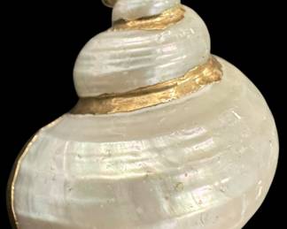 White Pearly Shell Pendant