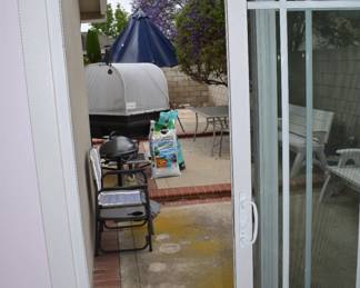 Begin Backyard Close Up Photos