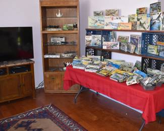 Family Room Overview