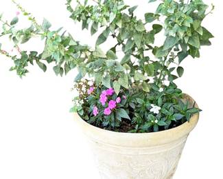 Large Foam Pot with Live Plants