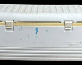 Igloo Cooler
