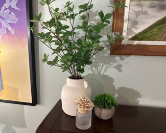 Artificial Plants & Diffuser